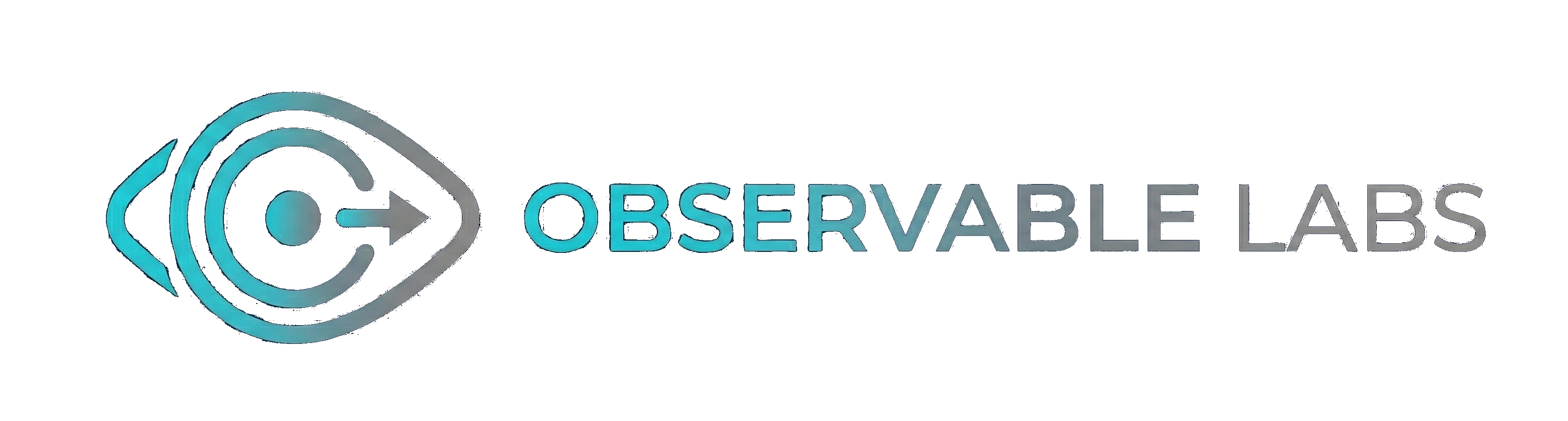 Observable Labs - Custom Software, Automation, and Machine Learning Services